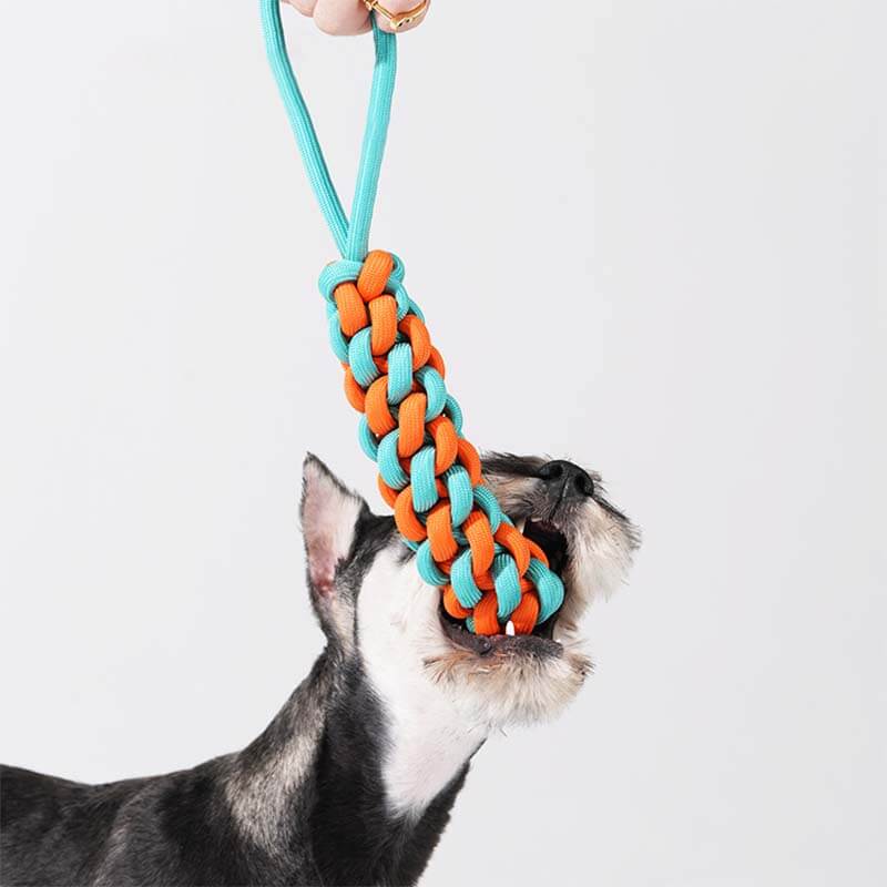 Braided Rope Stick Tug Dog Toy - Color Clash - FUNNYFUZZY