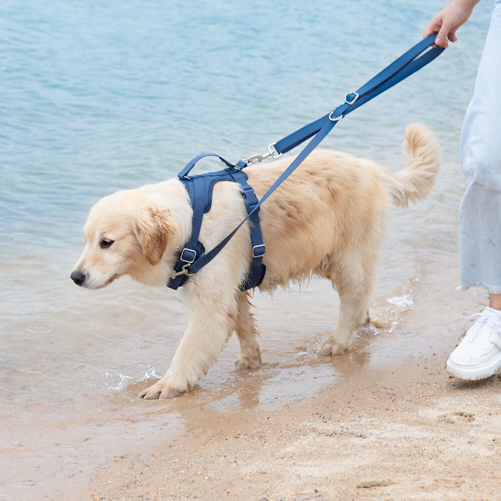 Ensemble de promenade d'accessoires pour chiens Gummy Cool
