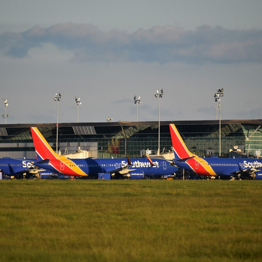 How to travel with pet in flight: Southwest airline pet policy