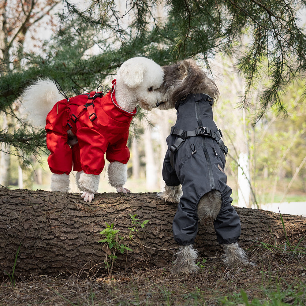 Veste de pluie légère et respirante imperméable pour chien d'extérieur