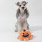 Halloween Pirate Pumpkin Octopus reversible Flip Flip Plush Dog Toy