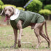 Chaqueta reflectante de perro caliente de cuello alto impermeable
