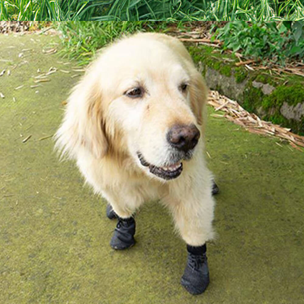 Outdoor Waterproof Breathable Hiking Running Anti-slip Dog Boots