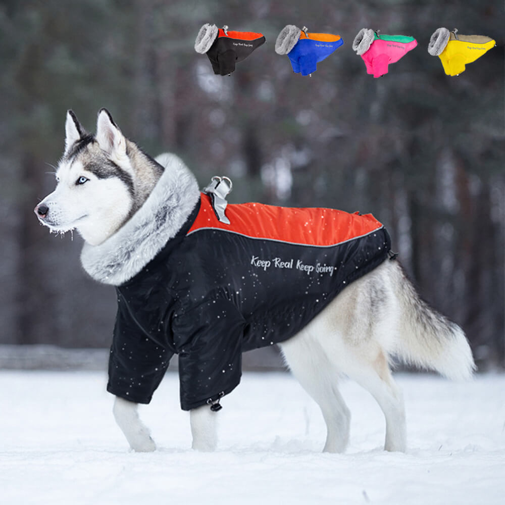 Wasserdichter Winter-Hundemantel mit Fellkragen – ultimative Wärme und Stil