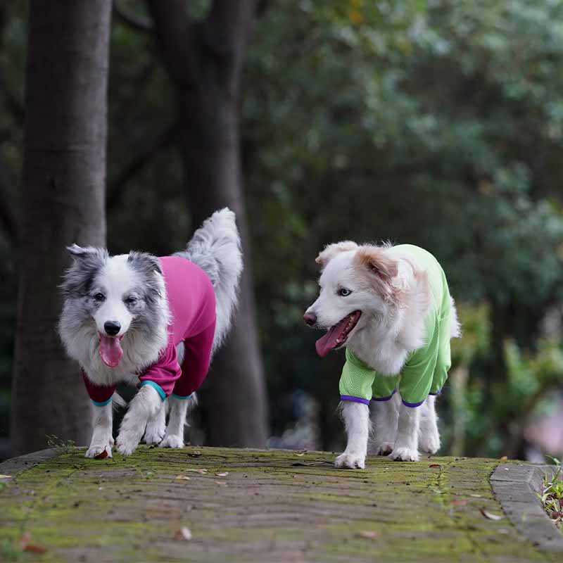 Chemises pour chiens à quatre pattes à séchage rapide, gilet rafraîchissant pour chien