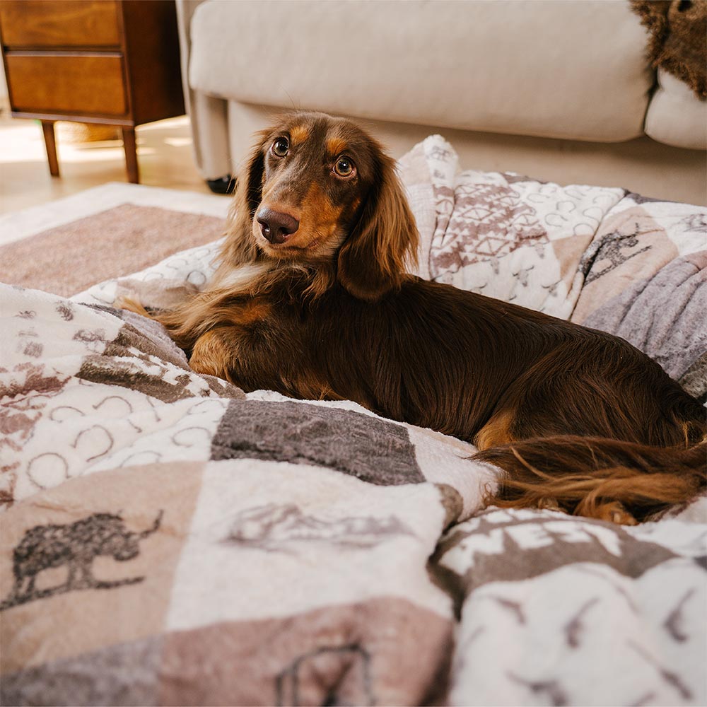 Washable Anti-Scratch Boho Tassel Calming Round Dog Bed - Hunter Night