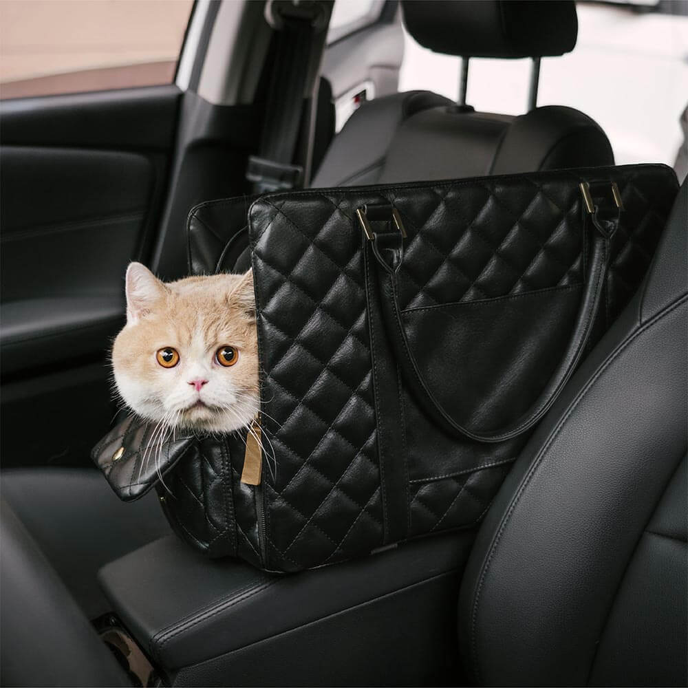 Large Carrying Stylish Multi-Functional Human-Dog Shared Travel Pet Bag - Wandering Tail