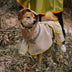 Impermeable reflectante ajustable con perros de bolsillo para perros que coinciden con la estadía del impermeable