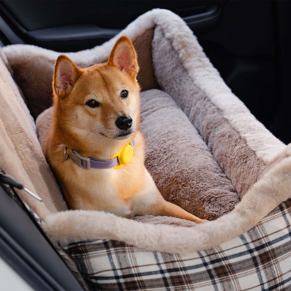 Grand siège d'auto rehausseur classique et moelleux pour chien, à garder en sécurité