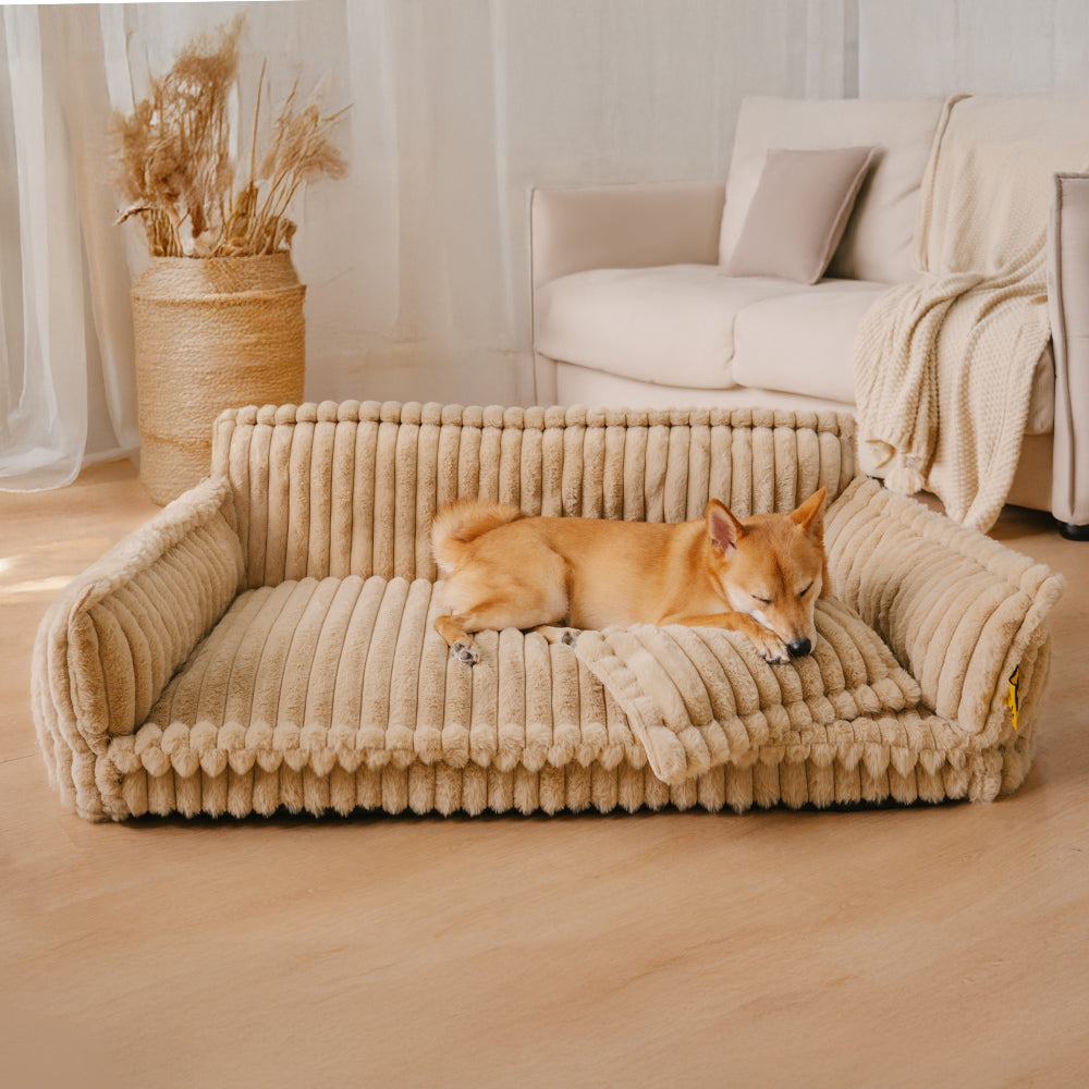 Design Hundesofa shops -NEU-