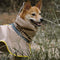Imperméable réfléchissant réglable avec poche pour chien, imperméable assorti pour rester au sec