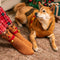 Christmas espesos calientes de perros tortuga calientes calcetines a juego para mascota y propietario