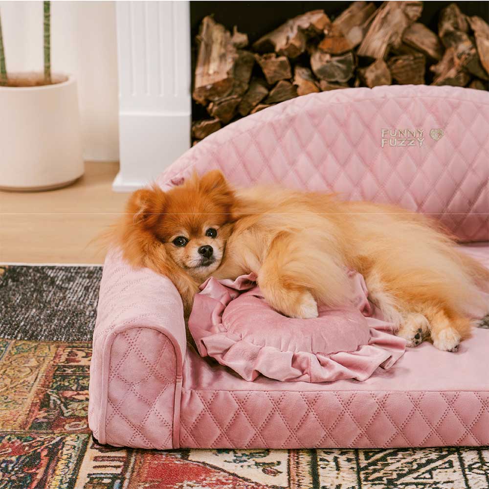 Pinky Cozy Bolster Dog Sofa Bed -  Princess Lord