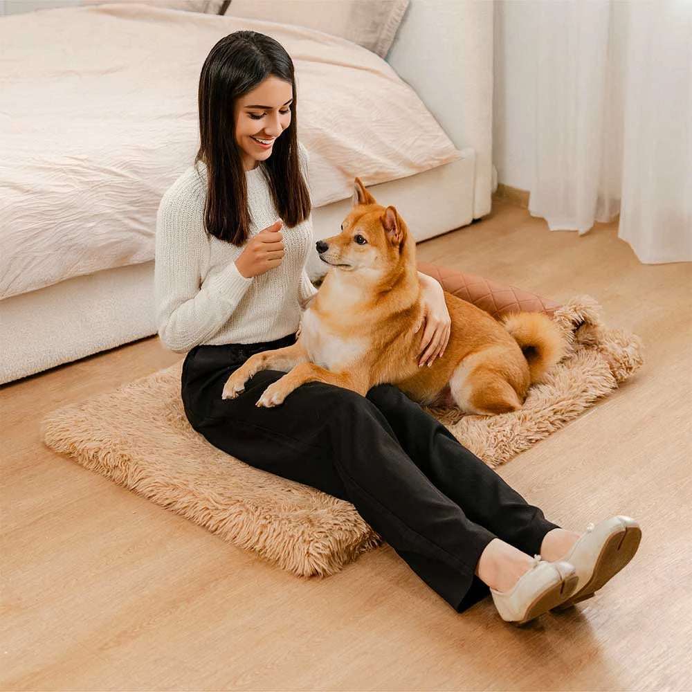 Cuero sinté de doble cara ＆ Matina de perro esponjada de lujos de lujo cálido con almohada