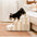 Trendy Striped Removable Sponge Anti-Slip Pet Stair - SafeStep