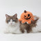 Halloween Pirate Pumpkin Octopus reversible Flip Flip Plush Dog Toy