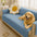 Muebles impermeables para muebles protector de mascotas de mascotas cubiertas de cubierta
