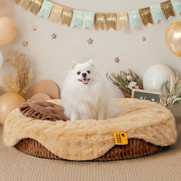 Fluffy Cake-Shaped Detachable Plush Orthopedic Pet Bed – DreamBake