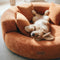 Luxe Diamond Velvet extraíble cama ortopédica para perros con almohada - Dreamnest