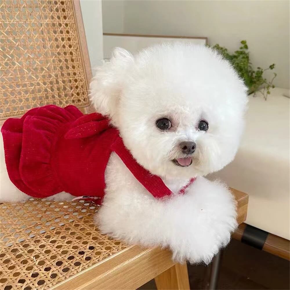 Robe pour chien en velours à nœud rouge – Parfaite pour les occasions spéciales !