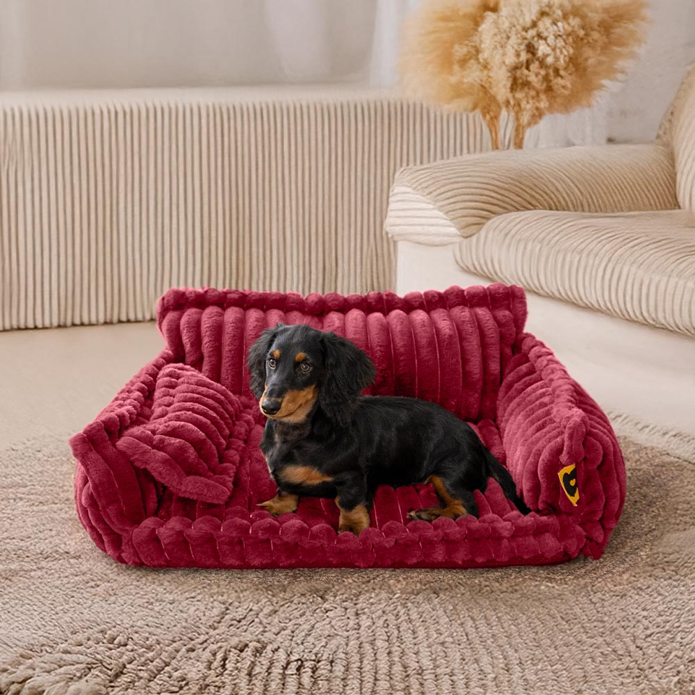 Grande cuscino lavabile per cani, morbido ortopedico, soffice divano letto per cani: sogno snoozy