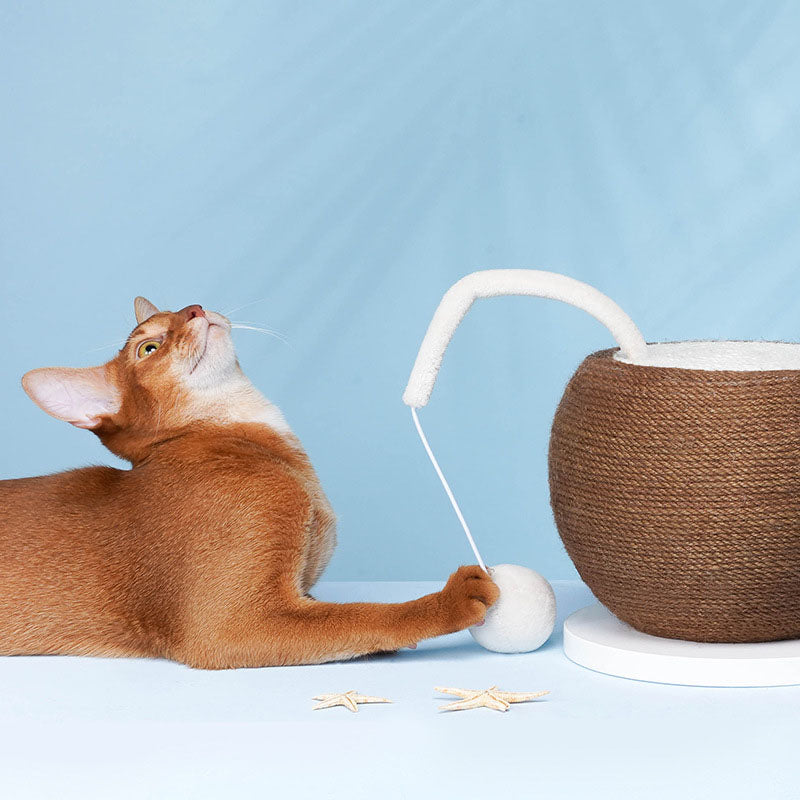 Coconut Cat Scratching Board Claw Sharpeners