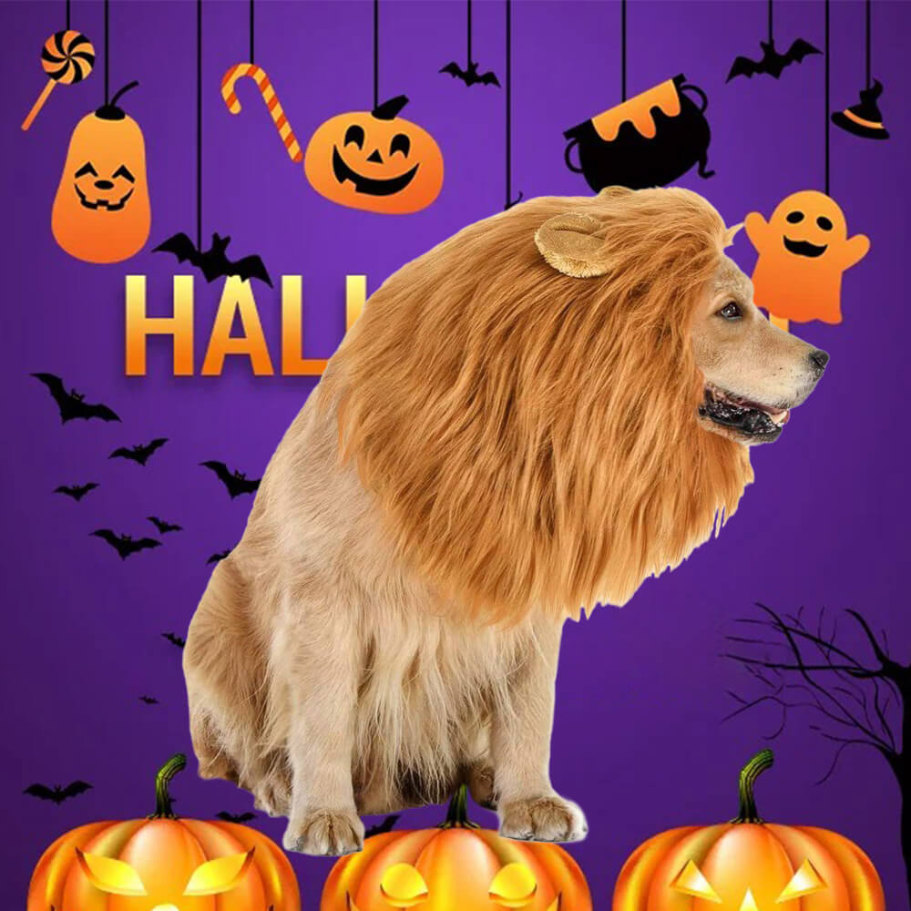 Costume de chien à crinière de lion – Parfait pour Halloween et les occasions amusantes