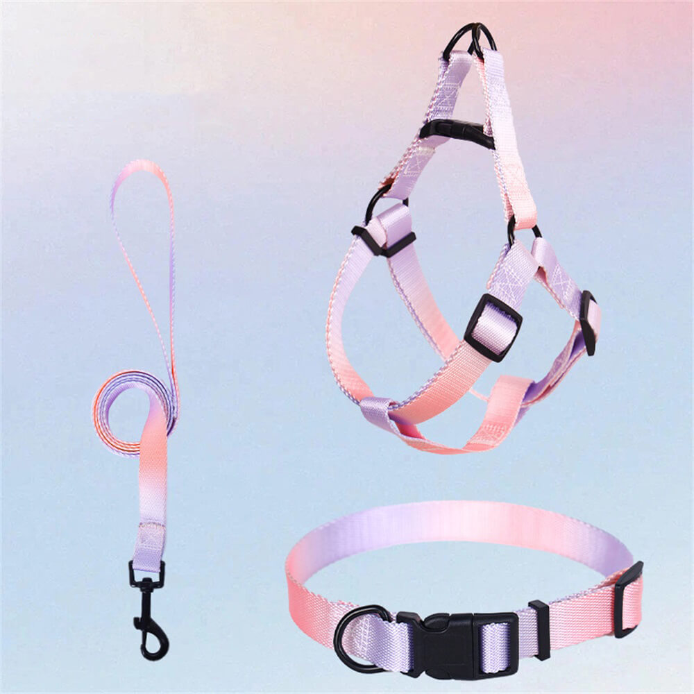 Colorful Gradient Dog Traction Rope and Chest Harness - Anti-Breakaway Design