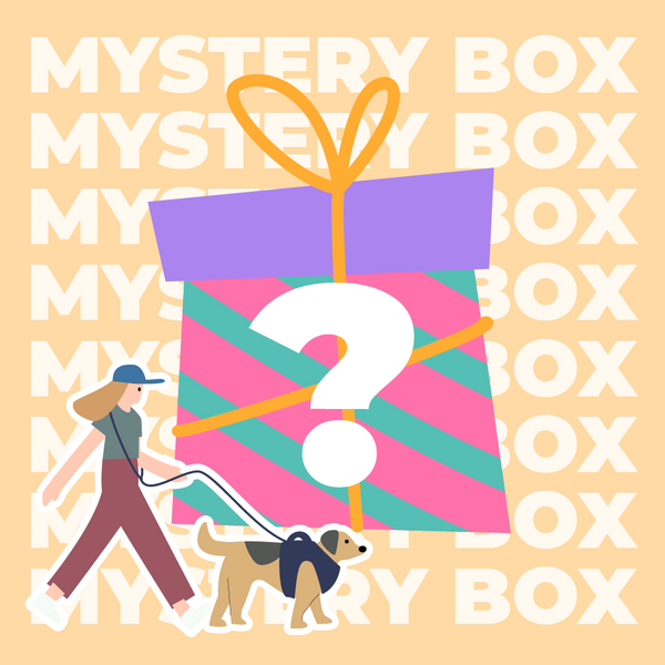Sicheres Reiseset für Hunde bis 15 kg – 220 $ Wert-Mystery-Box