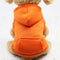 Bunte, gemütliche Hunde-Kapuzenpullover – perfekt für Komfort bei jedem Wetter