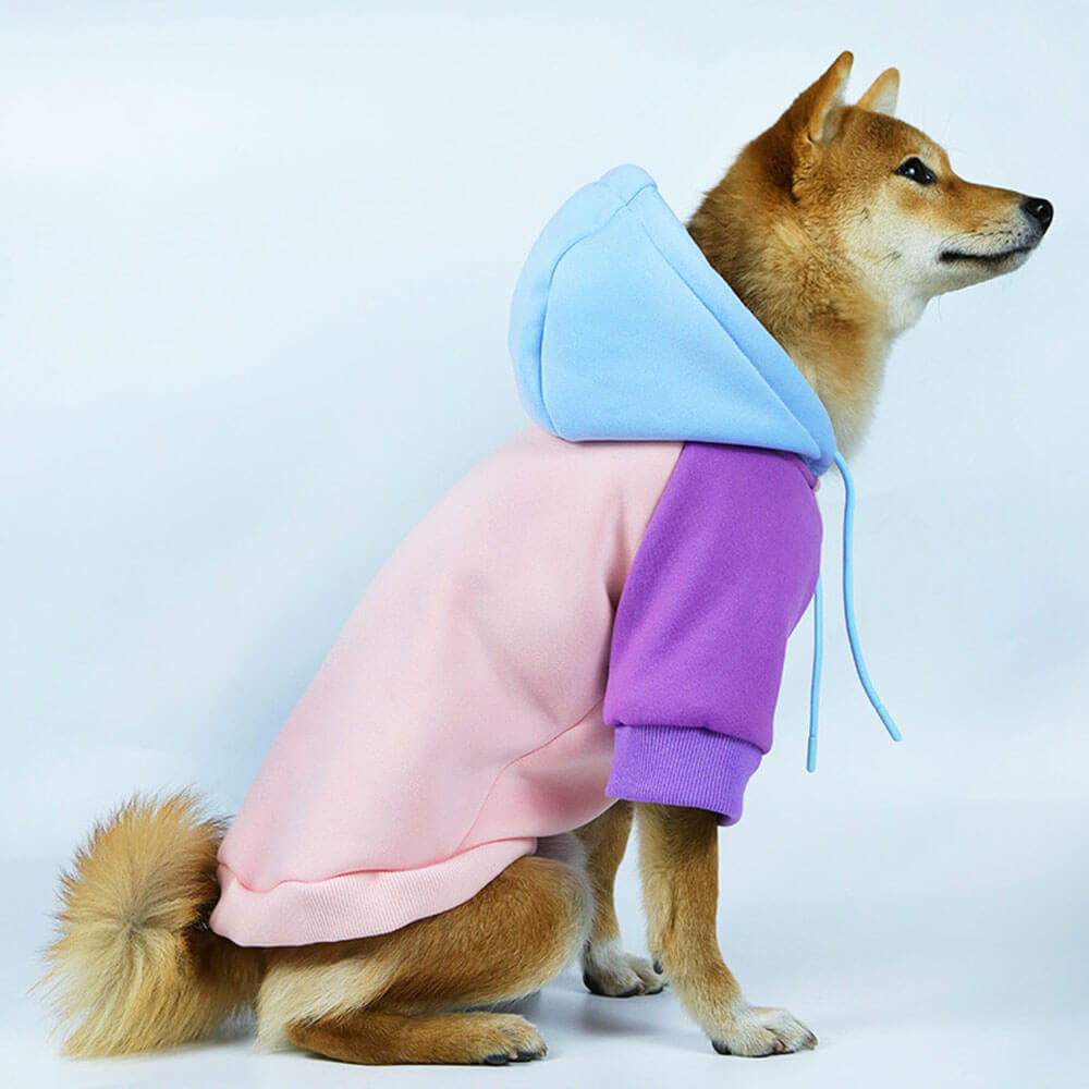 New autumn and winter pet hooded sweatshirt for dogs color matching hooded sweatshirt
