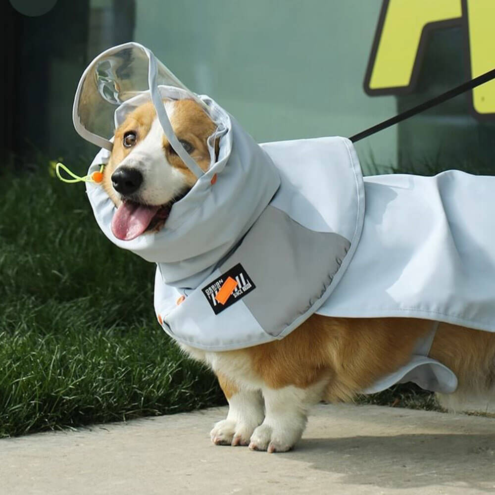 Chubasquero para perro con banda para el vientre, transparente, ala grande para máxima protección