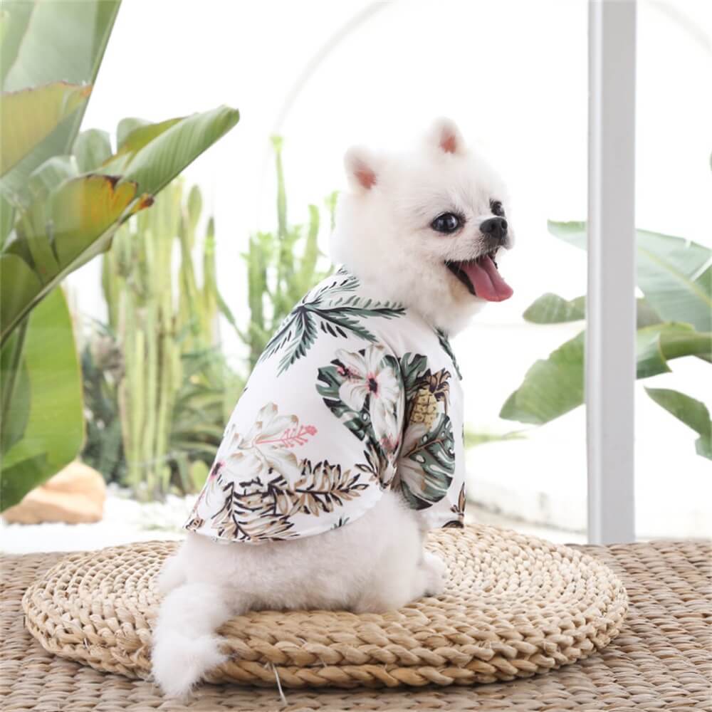 Pet Beach Pineapple Shirt for Small to Medium Dogs - Hawaiian Summer Lightweight Apparel