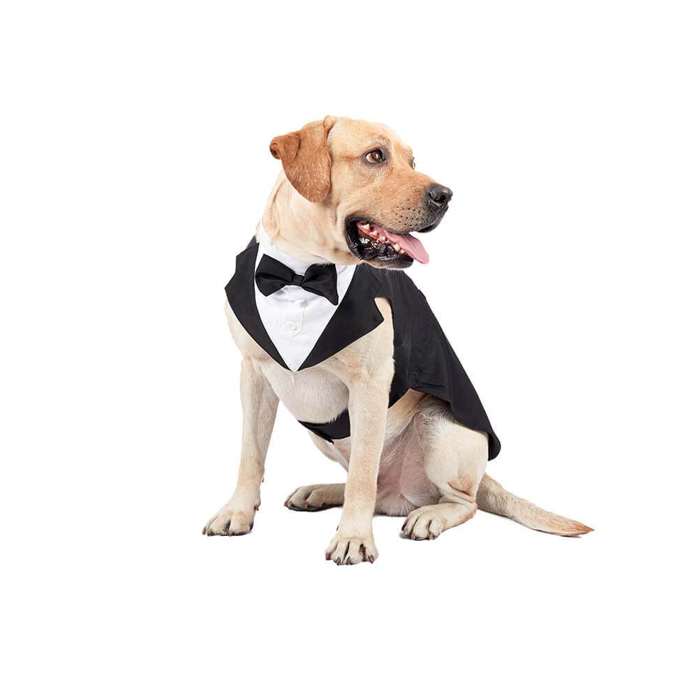 Ropa para perros, vestido de traje con pajarita de boda