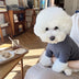 Suéteres acogedores de punto gofre para perros: suéter suave y cálido para mascotas en 4 <tc>Color</tc>s