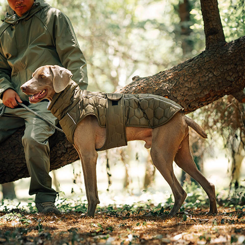 Gilet d'extérieur matelassé pour chien – Chaud et durable pour la randonnée et les aventures