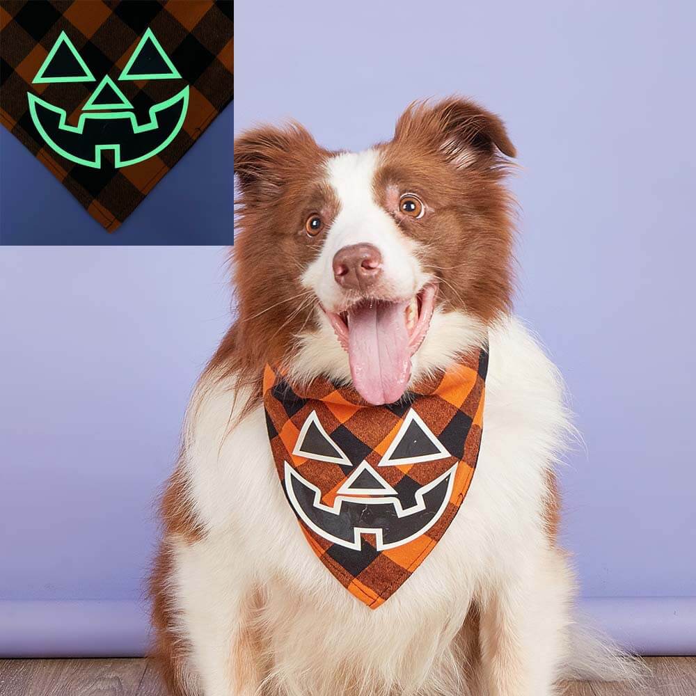 Luminous Pumpkin Skull Triangle Bandana for Pets | Festive & Glowing Dog Bib