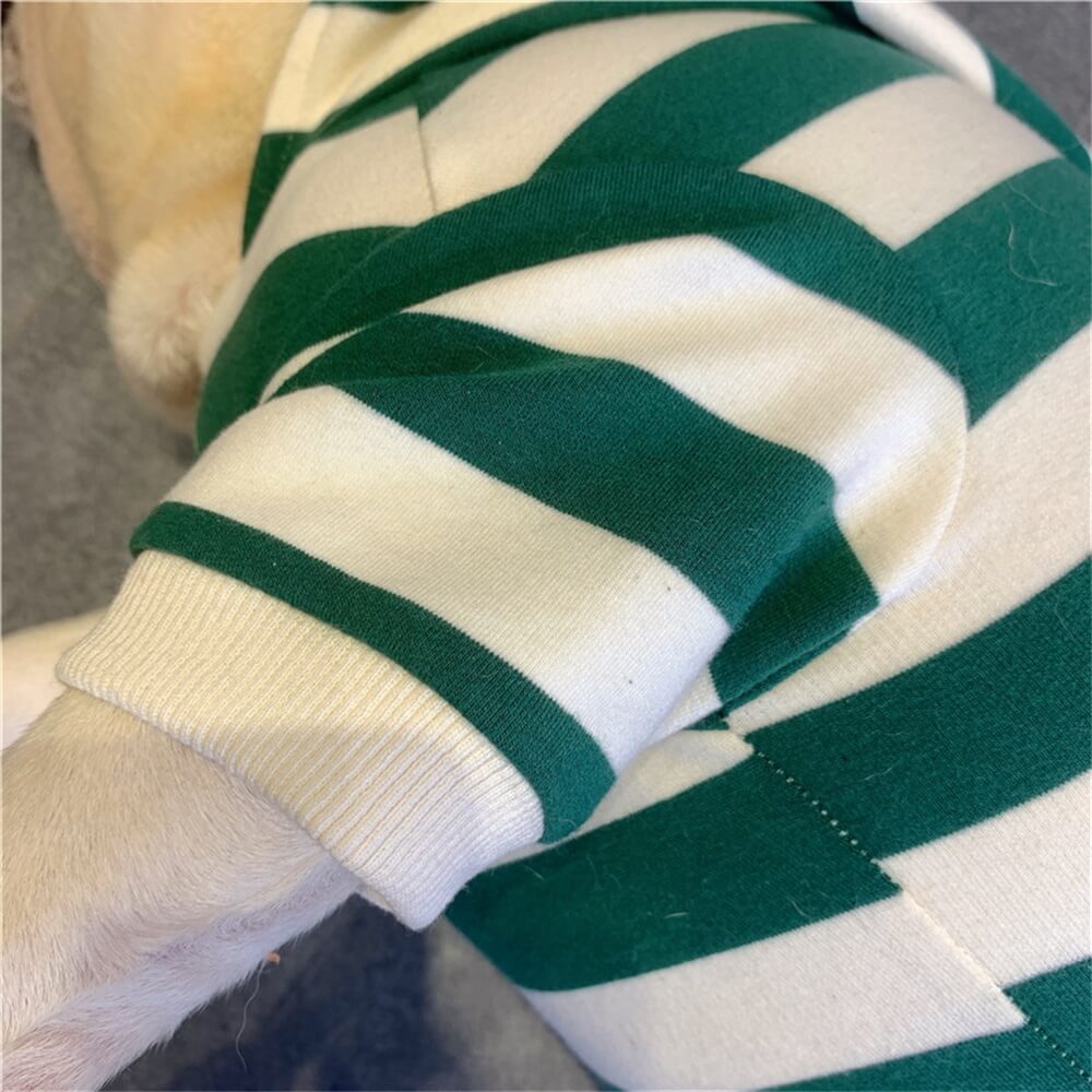 Striped Green Hoodie for Dogs with Pom-Pom Accent - Cozy & Cute Pet Apparel