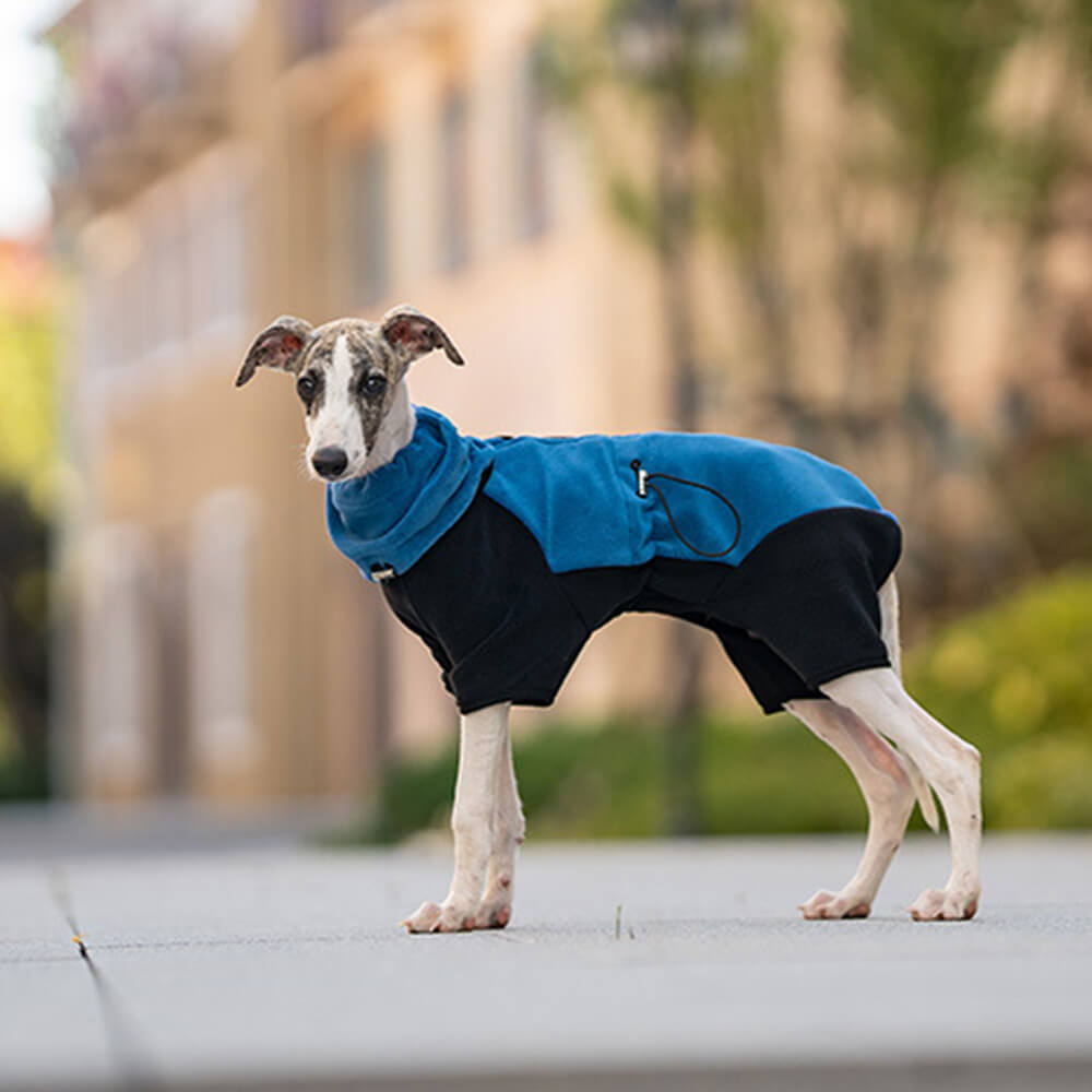 Full Coverage Polar Fleece Dog Onesie with Removable Collar