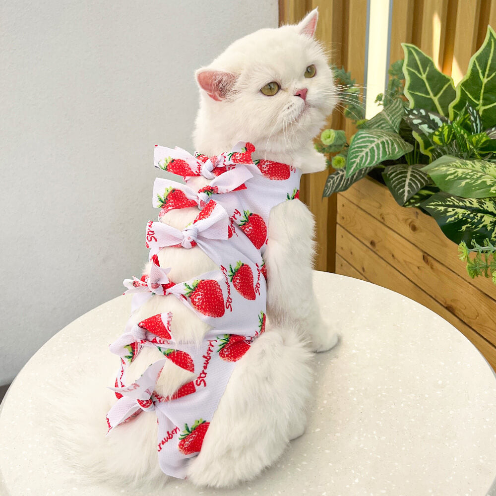 Pet Recovery Suit for Cats - Post-Surgery Healing, Anti-Licking, Breathable Physiological Pants for Weaning  Pet Clothes