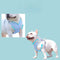 Harnais de corde de traction pour chien de compagnie - respirant et sécurisé
