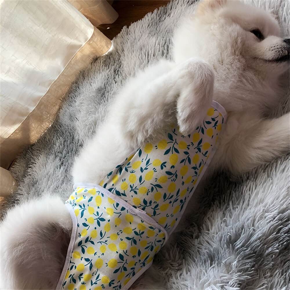 Pet Menstrual Pants, Washable Female Dog Diapers, Protective Belly Bands for Pet Clothes