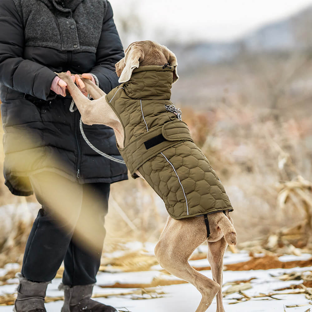 Gilet d'extérieur matelassé pour chien – Chaud et durable pour la randonnée et les aventures