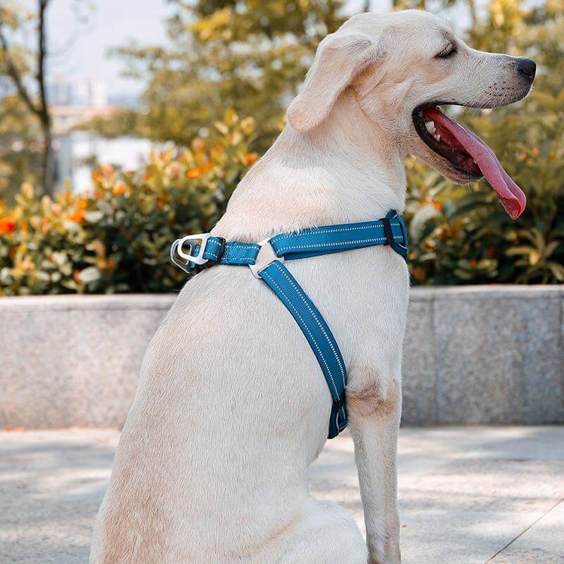 Verstellbares, atmungsaktives Anti-Pull-Hundegeschirr mit freihändiger Leine