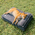 Anti-ansiedad con soporte de esponja cama para perros dormido profundo