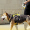 Correa de perros retráctil a prueba de explosión automática para perros medianos a grandes