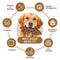 Puppy Starter Bundle - Home Essentials Kit