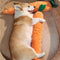 Juguete interactivo para perros de juguete de peluche de zanahoria