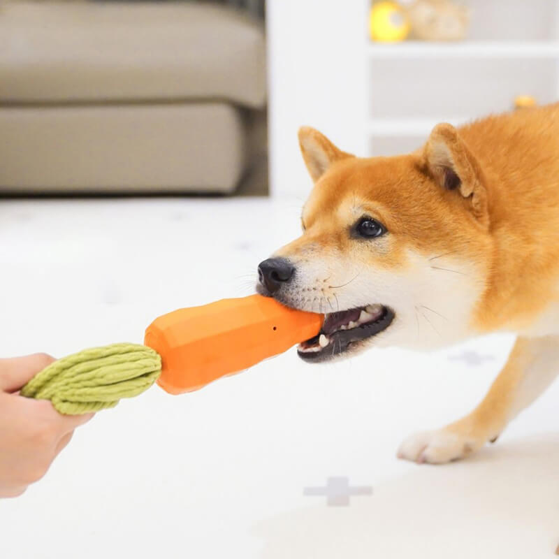 Jouet grinçant de carotte Jouet à mâcher durable pour chien