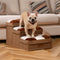 Handgefertigte Hundetreppe mit Schachbrettmuster und Stauraum – multifunktional und faltbar